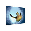 Trademark Fine Art Henry Jager 'Green Turtle In Snells Window' Canvas Art, 35x47 1X10531-C3547GG